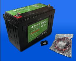 LiFePO4 Battery | DSA Detection Part Number CMWB279