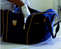 Hand Searching Personal Property