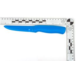 Inert Steel Steak Knife (4.5&rdquo;) | DSA Detection Part Number TSK0222