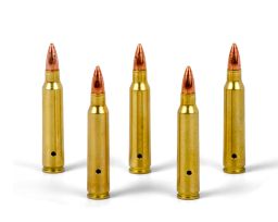 Inert 5.56 Bullets (5ct) | DSA Detection Part Number TSK0556